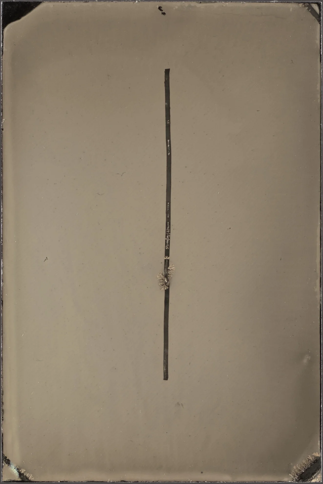 This image depicts a photograph by artist Ben Cauchi titled 'Metaphysica ix', an artwork made in 2021. The medium is tintype. The size of this artwork is 10x6.6cm. This artwork was first shown in the exhibition 'Metaphysica' at Robert Heald Gallery 2021.