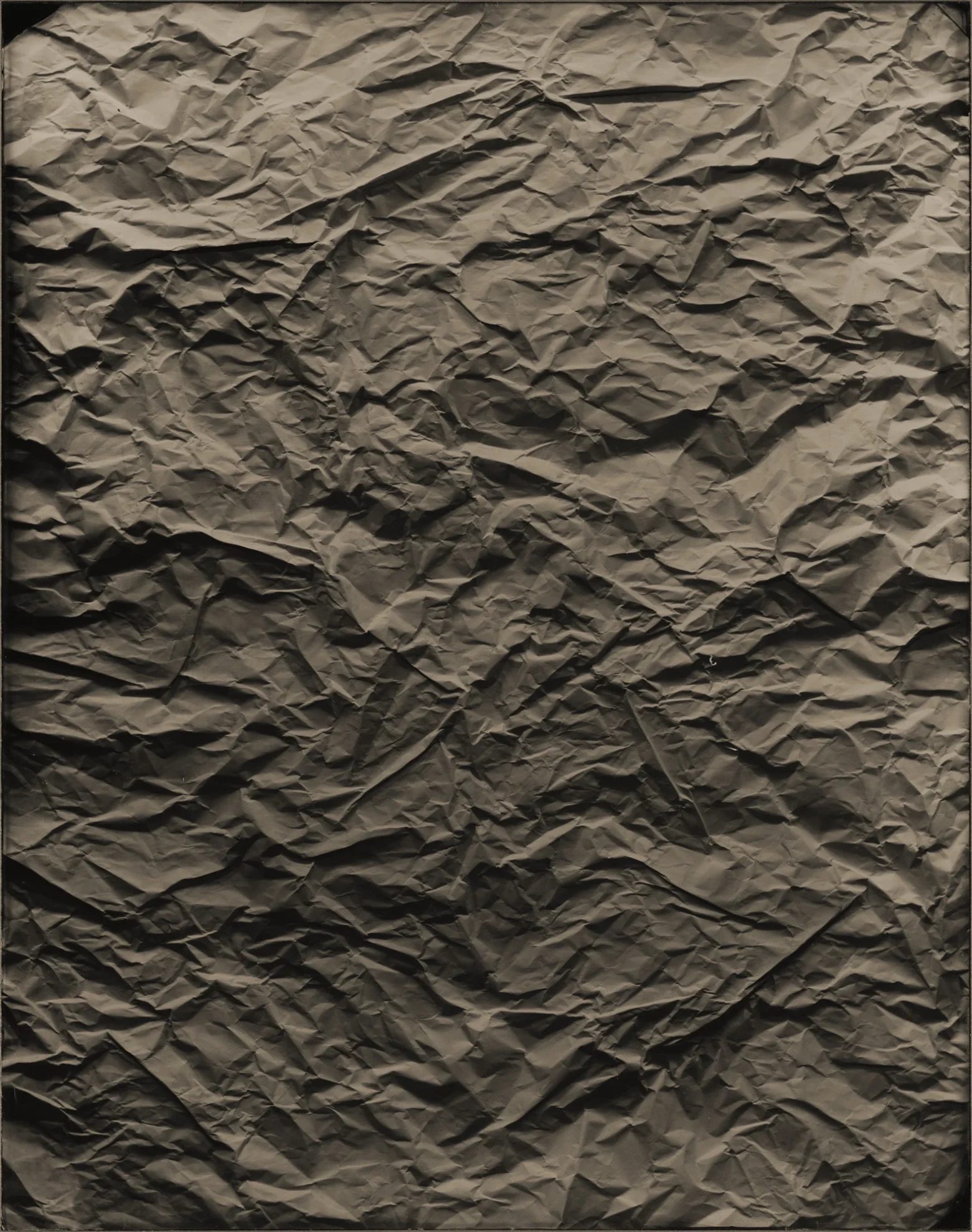 This image depicts a photograph by artist Ben Cauchi titled 'Untitled', an artwork made in 2016. The medium is ambrotype. The size of this artwork is 52x41 cm. This artwork was first shown in the exhibition 'Paris Photo' with Ingleby Gallery in 2016.